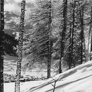 Отель Hotel Livigno, Ливиньо